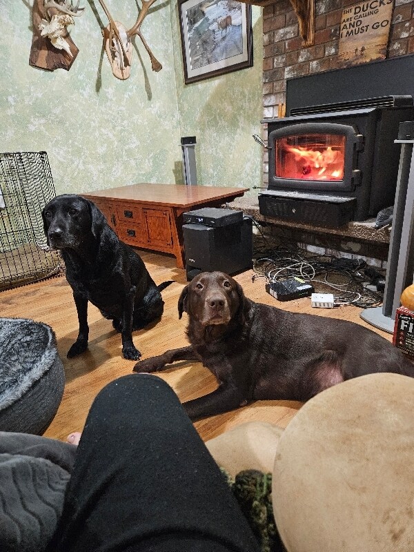 Building Photo - 6228 171st St SW