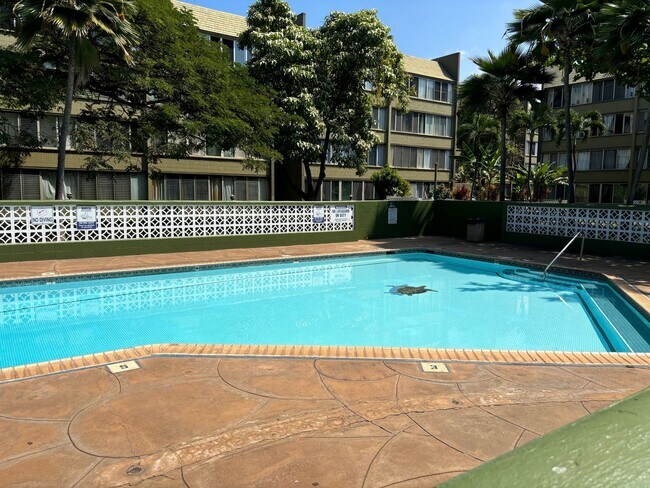 Building Photo - Harbor Lights D111 – Prime Kahului Rental ...