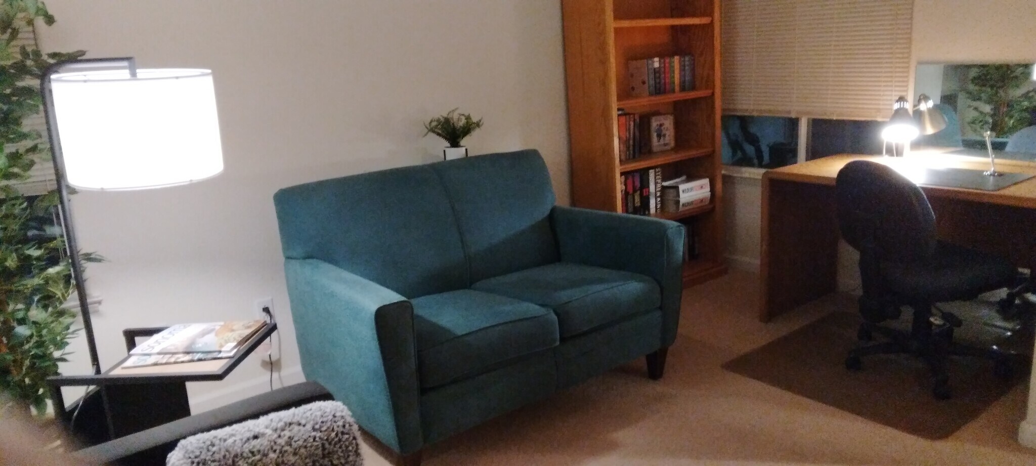 TV ànd extra closet - 418 Riesling St