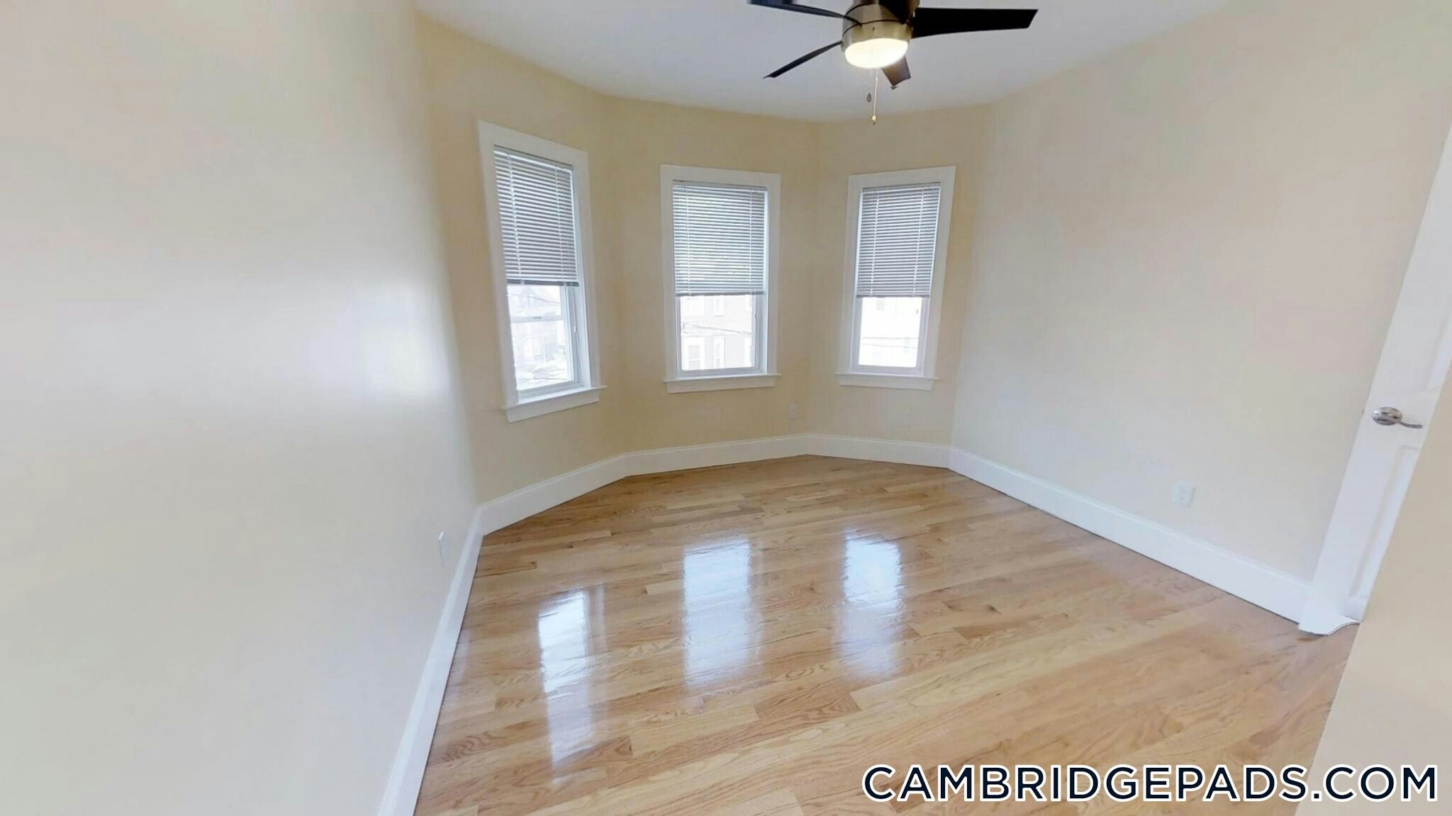 Building Photo - 30 Cambridge Terrace