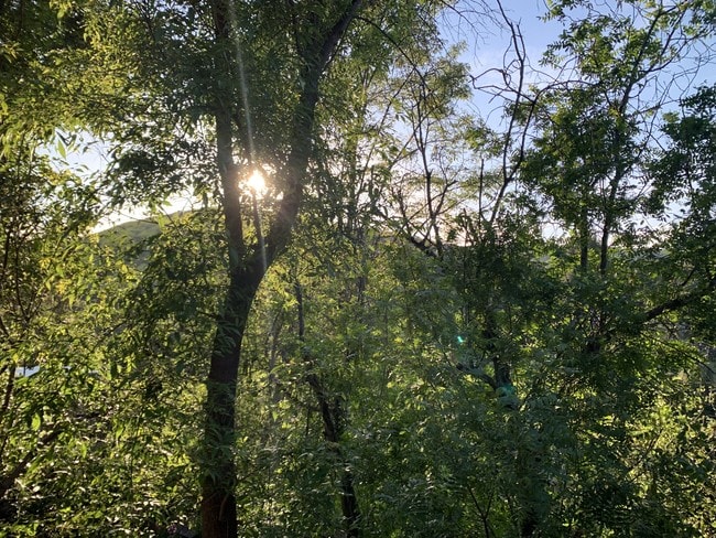 Building Photo - 16979 East Ln