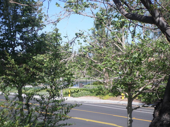 Building Photo - Gorgeous Harveston Townhome - Just across ...