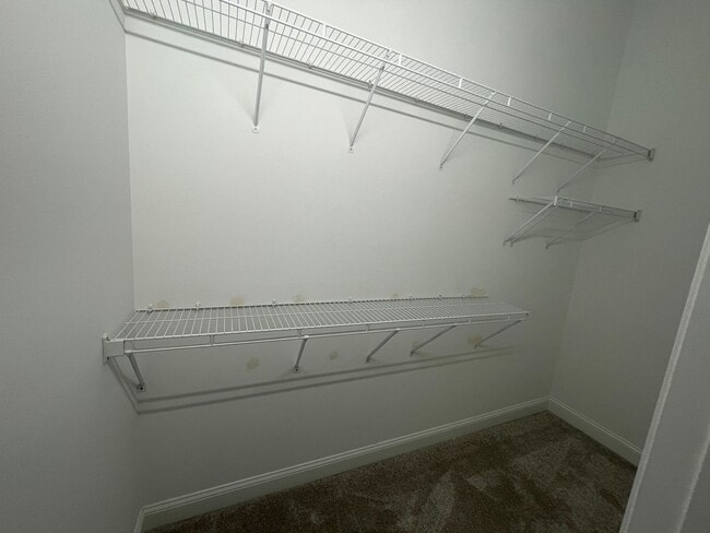 Building Photo - 4804 Exton Park Loop