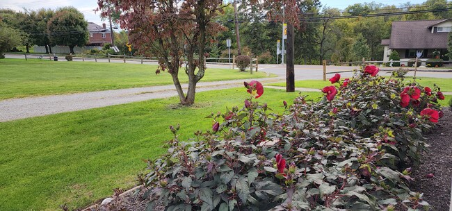 Seasonal Yard View - 2785 Beaver Grade Rd