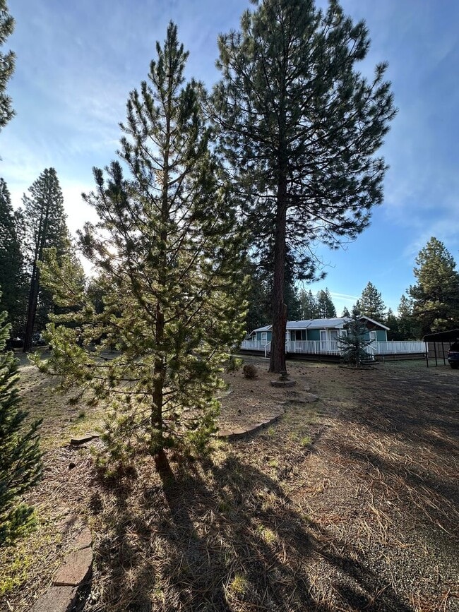 Building Photo - Adorable home in La Pine area, 1.5 acres fully fenced!!