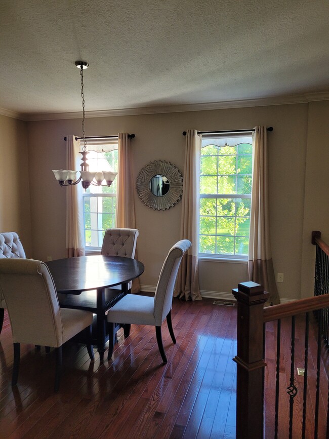 Living Room - 1059 Bluffway Dr