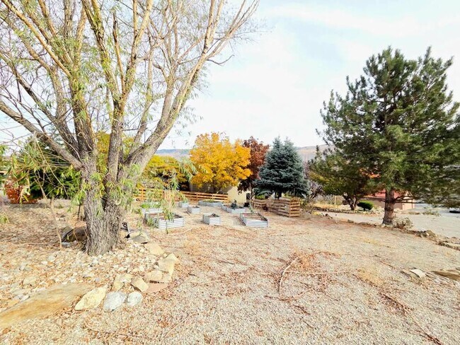 Building Photo - Gorgeous 4 Bed, 3 Bath Home w/ STUNNING RI...