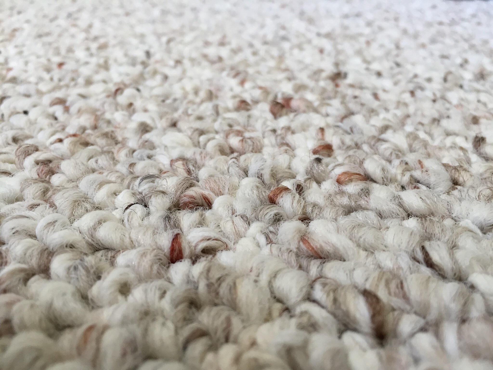 Carpeting Living/Bed Room - 4750 Cove Cir