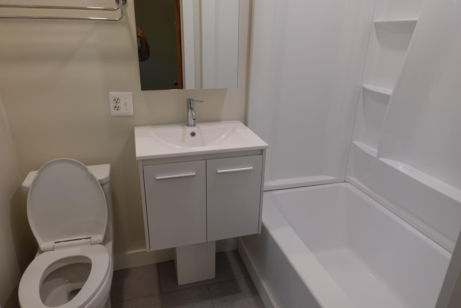 Newly renovated with new shower, toilet, fixtures, floor and vanity - 327 Hudson Ave