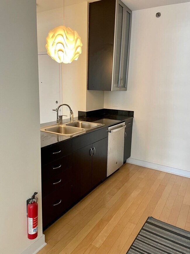 Building Photo - Luxury 1bed/1bath AVAILABLE in the LOOP