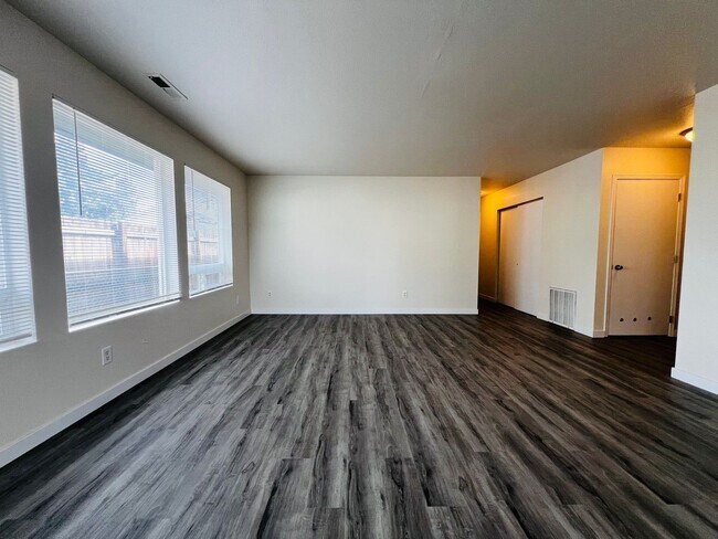 Primary Photo - N524