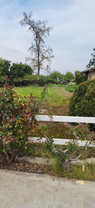 Building Photo - 9905 Ave 404