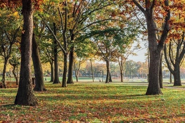 Building Photo - 45 Gautier Ave