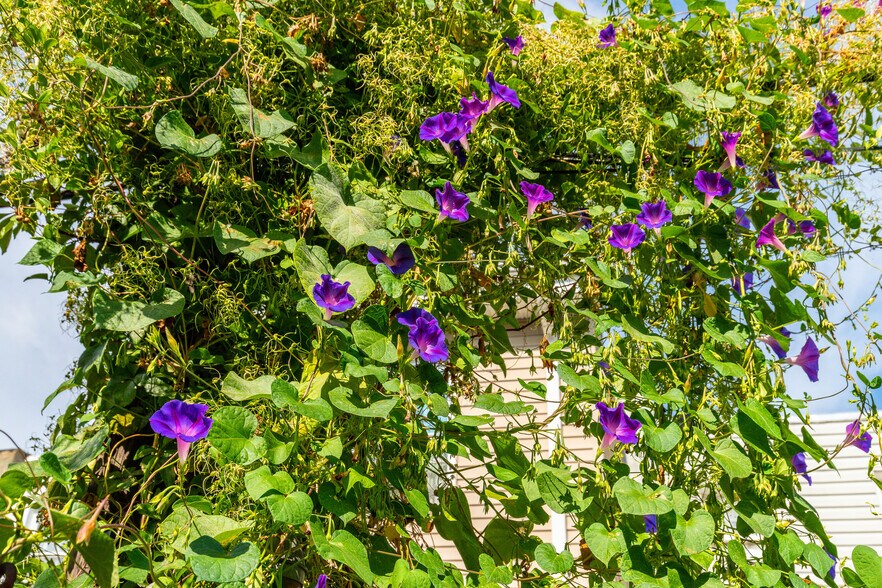 Building Photo - 3120 Tilton St