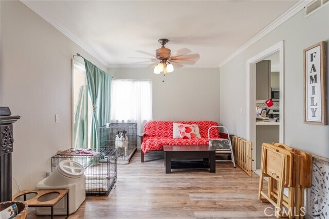 Building Photo - 28942 Rue Daniel