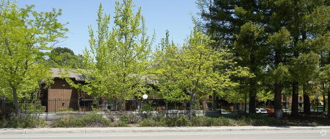 Primary Photo - Tice Oaks