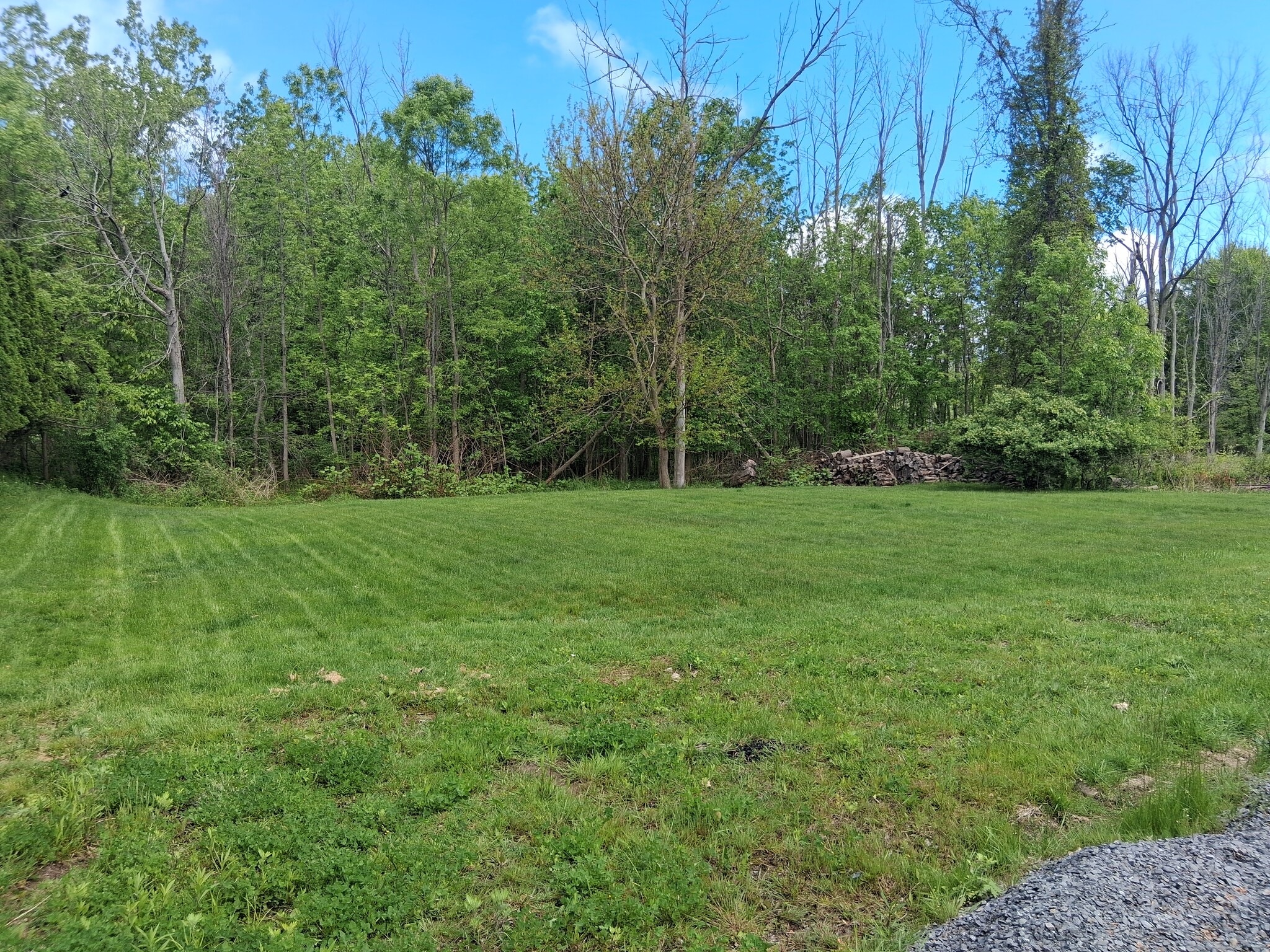 Exterior Backyard - 2710 English Rd