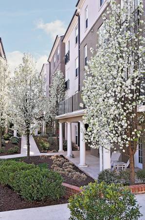 Building Photo - 730 Walker Sq