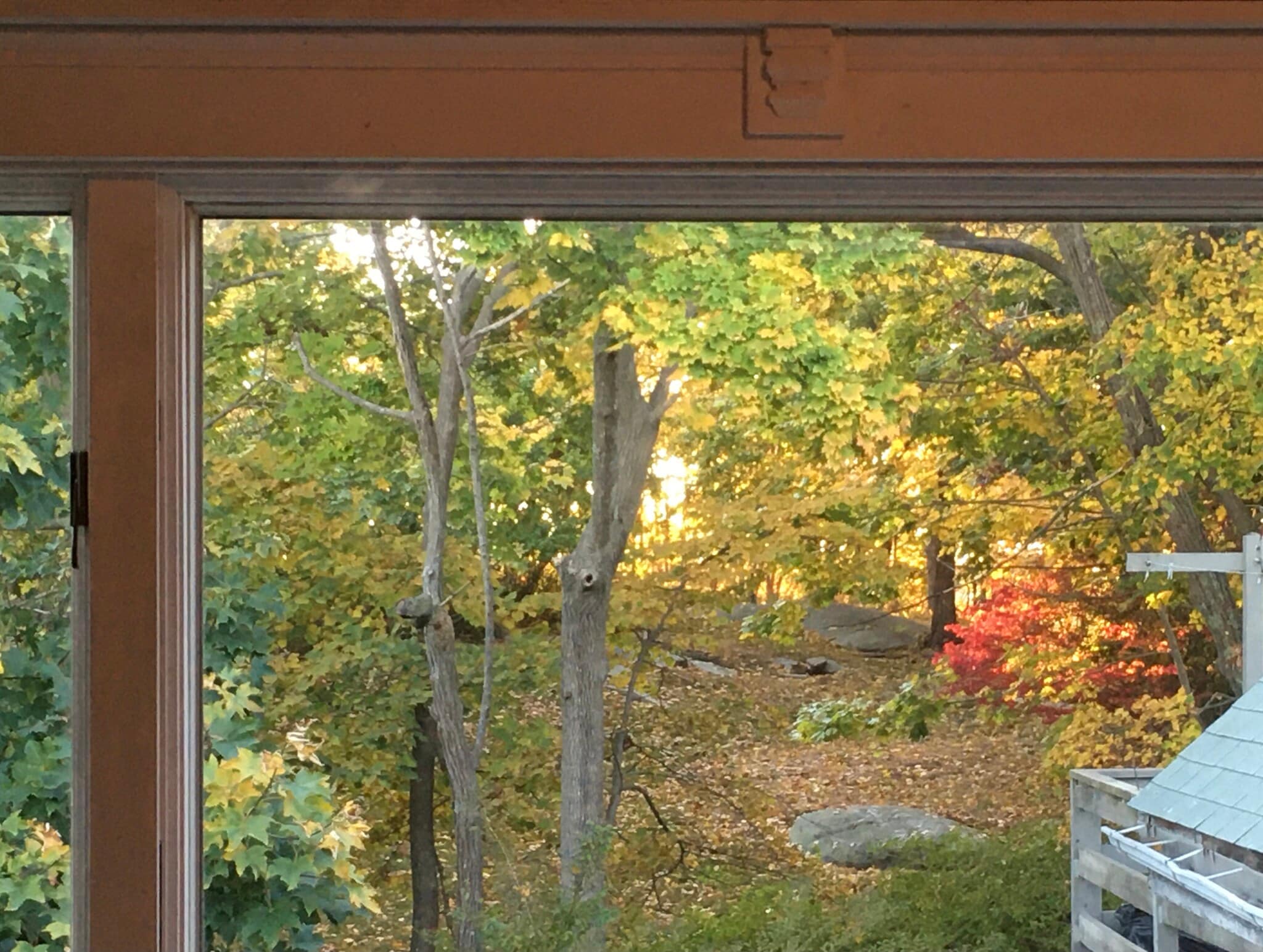 Building Photo - 38 Summer St