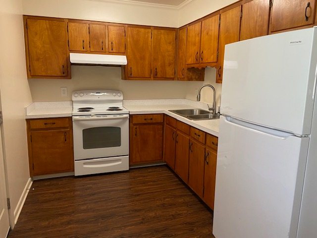 Building Photo - 2328 Tinnell Ct