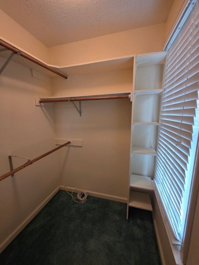 Building Photo - Gorgeous Home in Great Neighborhood