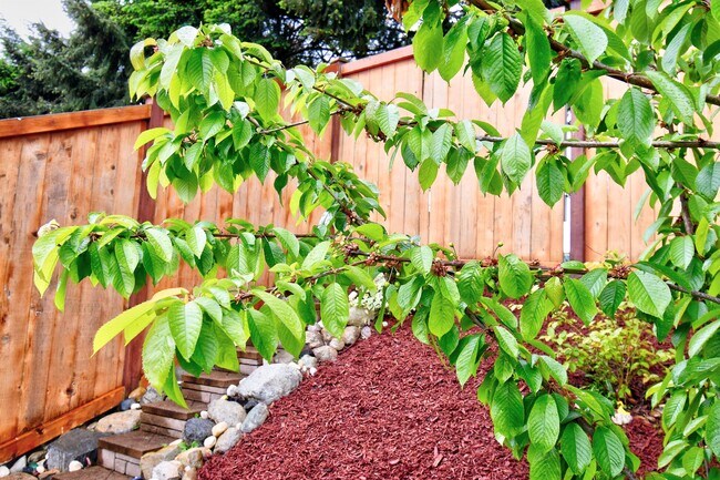 Building Photo - 10620 101st St Ct SW