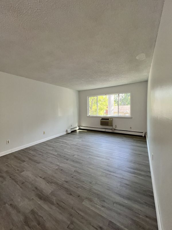 Building Photo - 255 Elmwood Ave