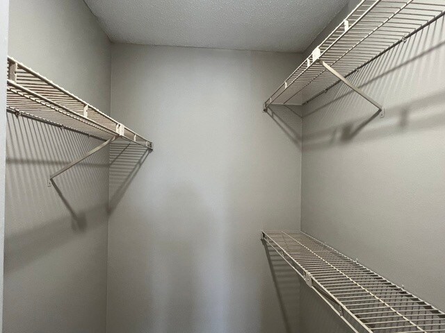 Bedroom Closet - 351 Lone Hill Dr
