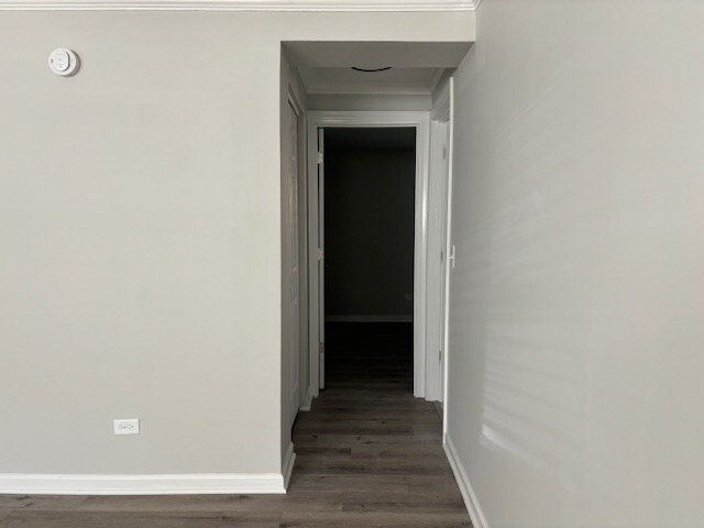 Building Photo - 503 Basil Rd