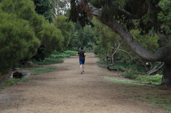 Nearby Green Belt - popular for jogging - 2411 Prospect Ave
