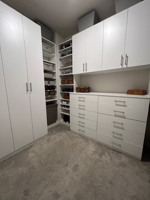 Primary Walkin Closet - 379 E Park St