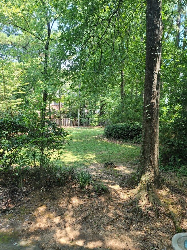 Spacious side and back yard - 2134 Montreat Way