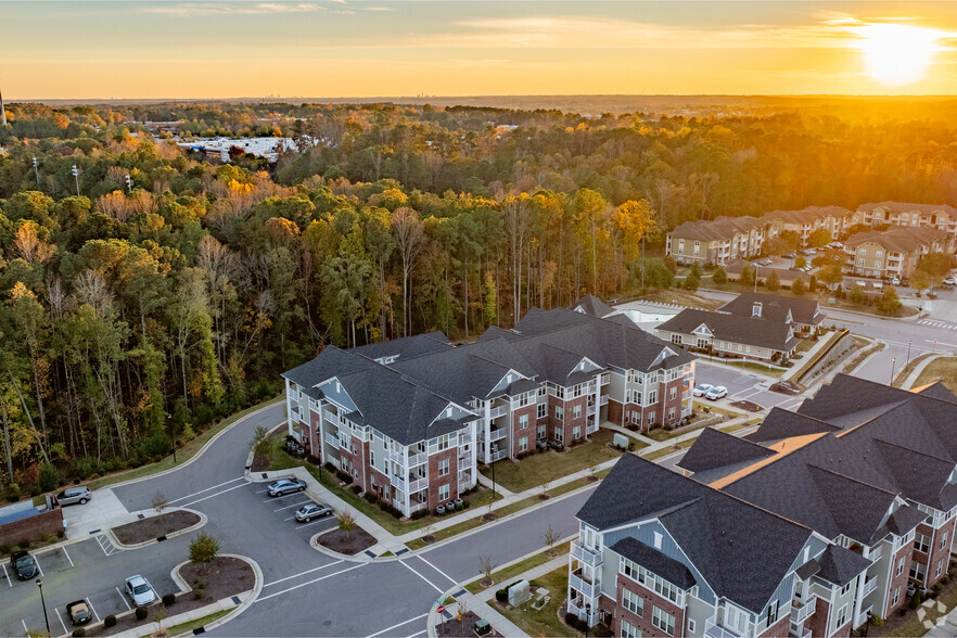 Aerial Overview - Palisades at Wake Forest