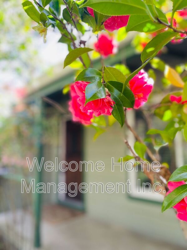 Building Photo - 2561 Olympic Blvd