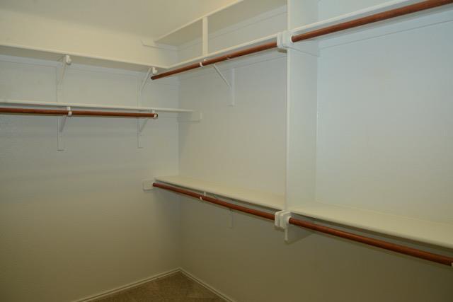 Building Photo - 138 Chestnut Ct