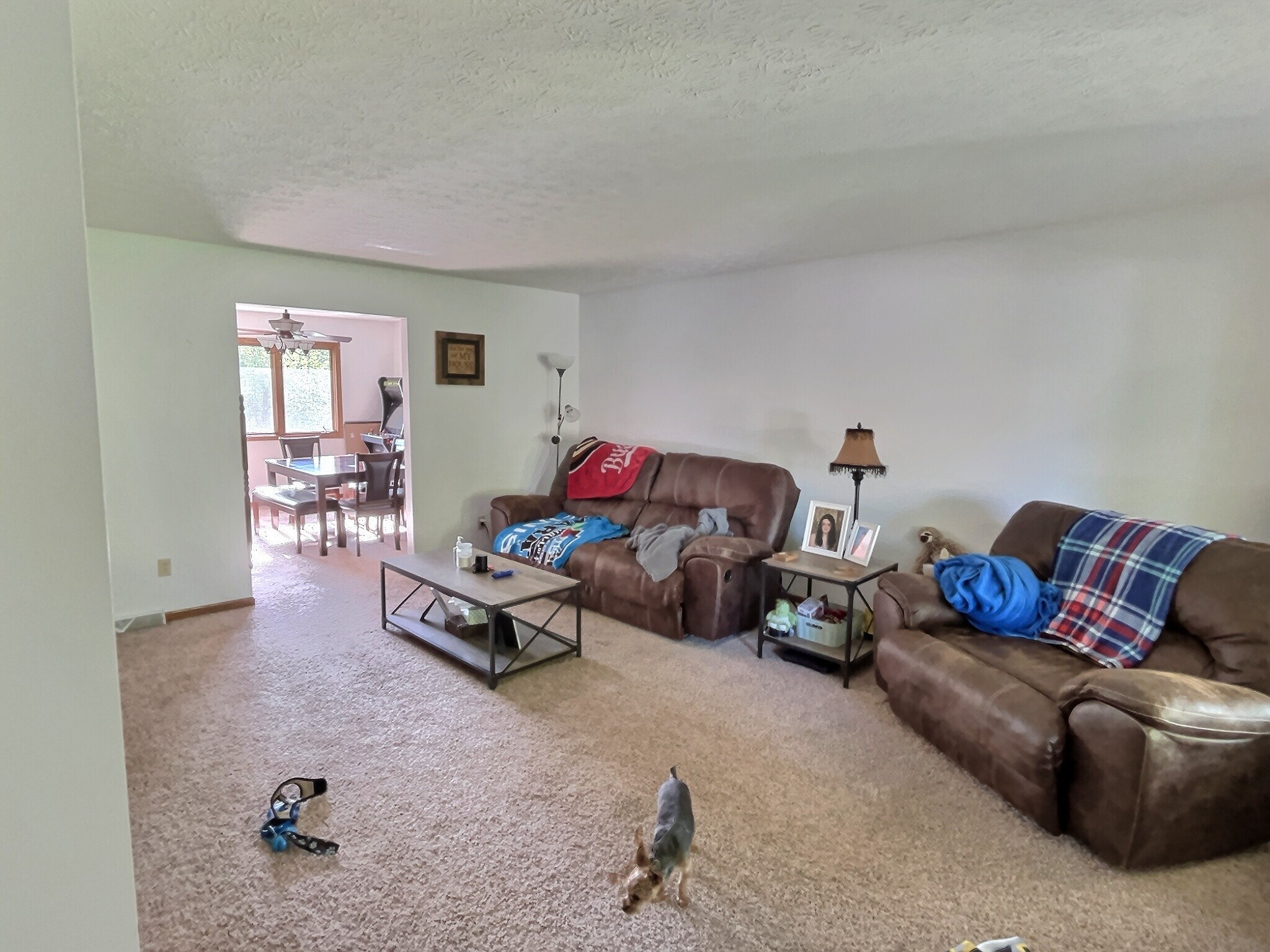 Living Room - 3951 Lake Vista Rd