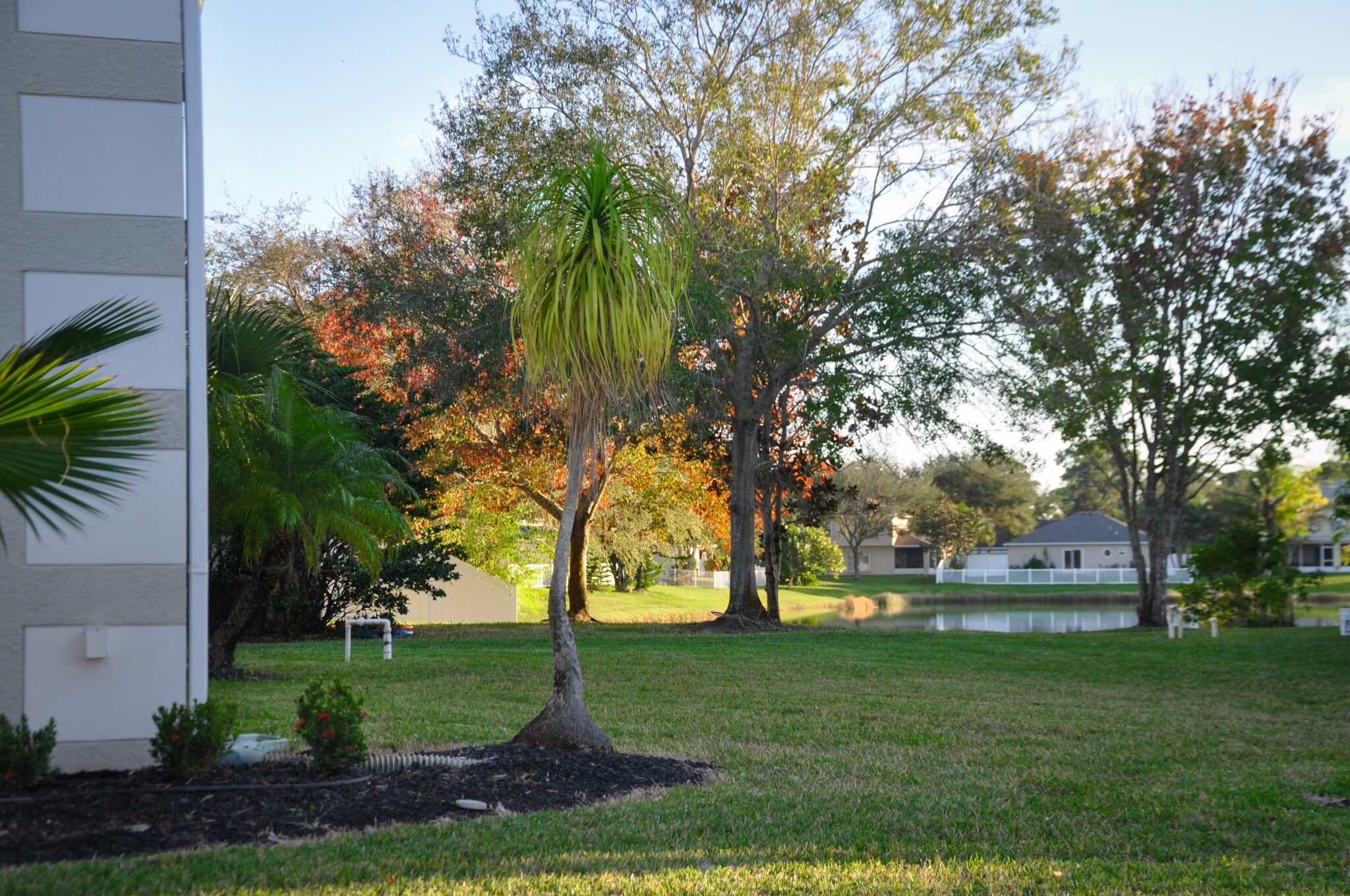 Building Photo - 5855 Orangewood Ln