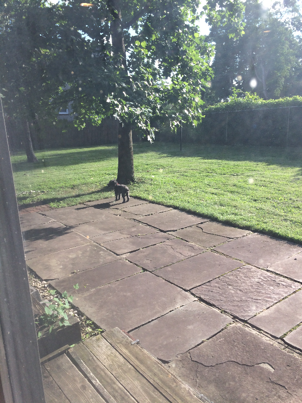 Building Photo - 6638 N 8th St