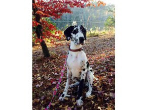 Building Photo - 100 Sentinel Court