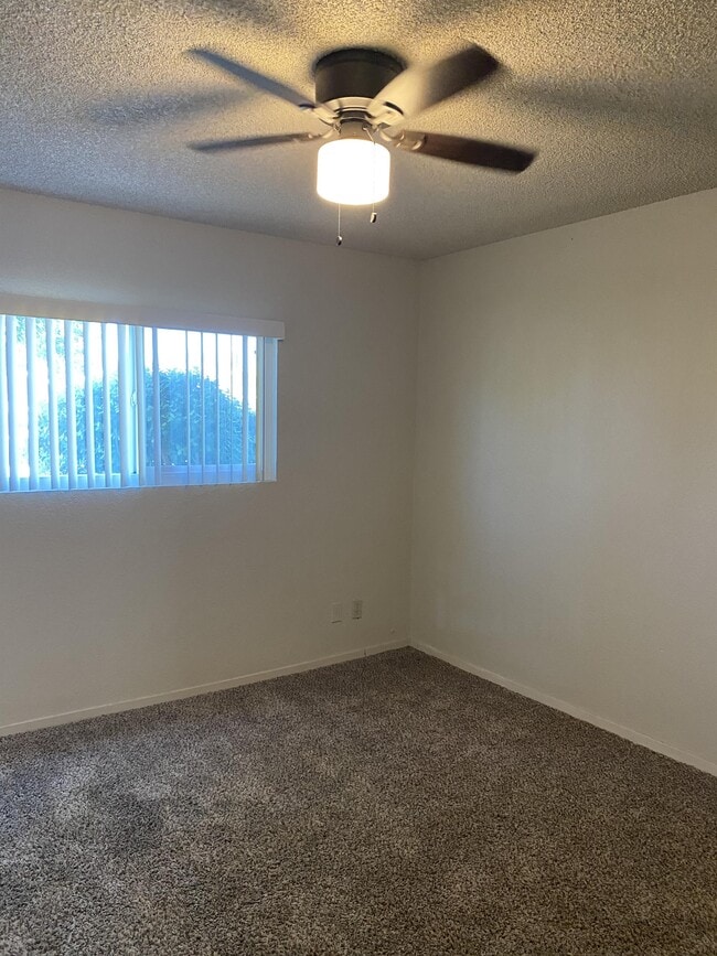 Building Photo - 1312 Pietriana Way