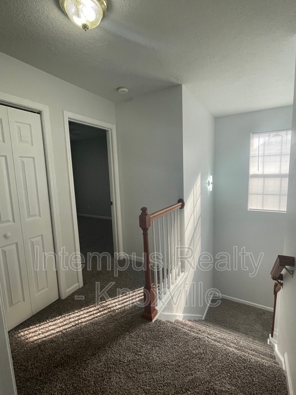 Building Photo - 3119 Pinex Ln