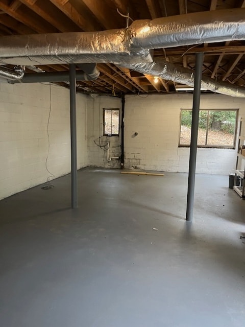 basement - 2101 Peacock Ln