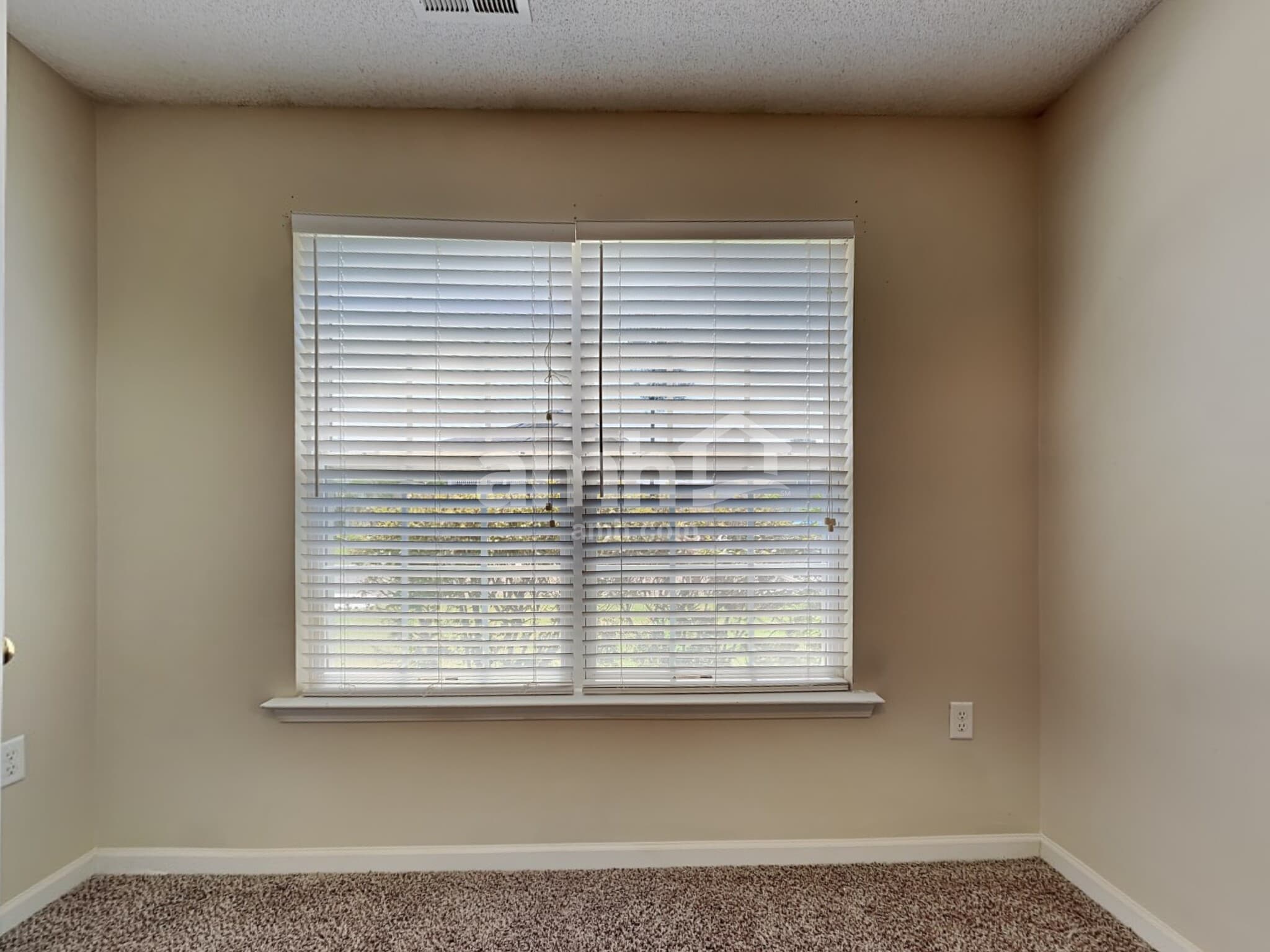 Building Photo - 305 Springdale Ct