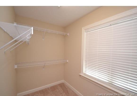 Building Photo - 425 Colonist Pl