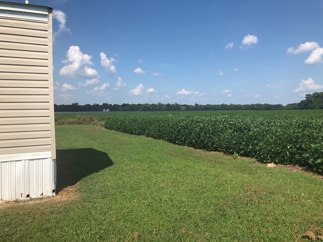 Building Photo - 2 BR, 2 BA Singlewide in Great Location in Pikeville!