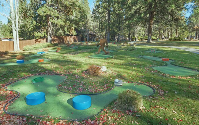 Minigolf - 18575 SW Century Dr