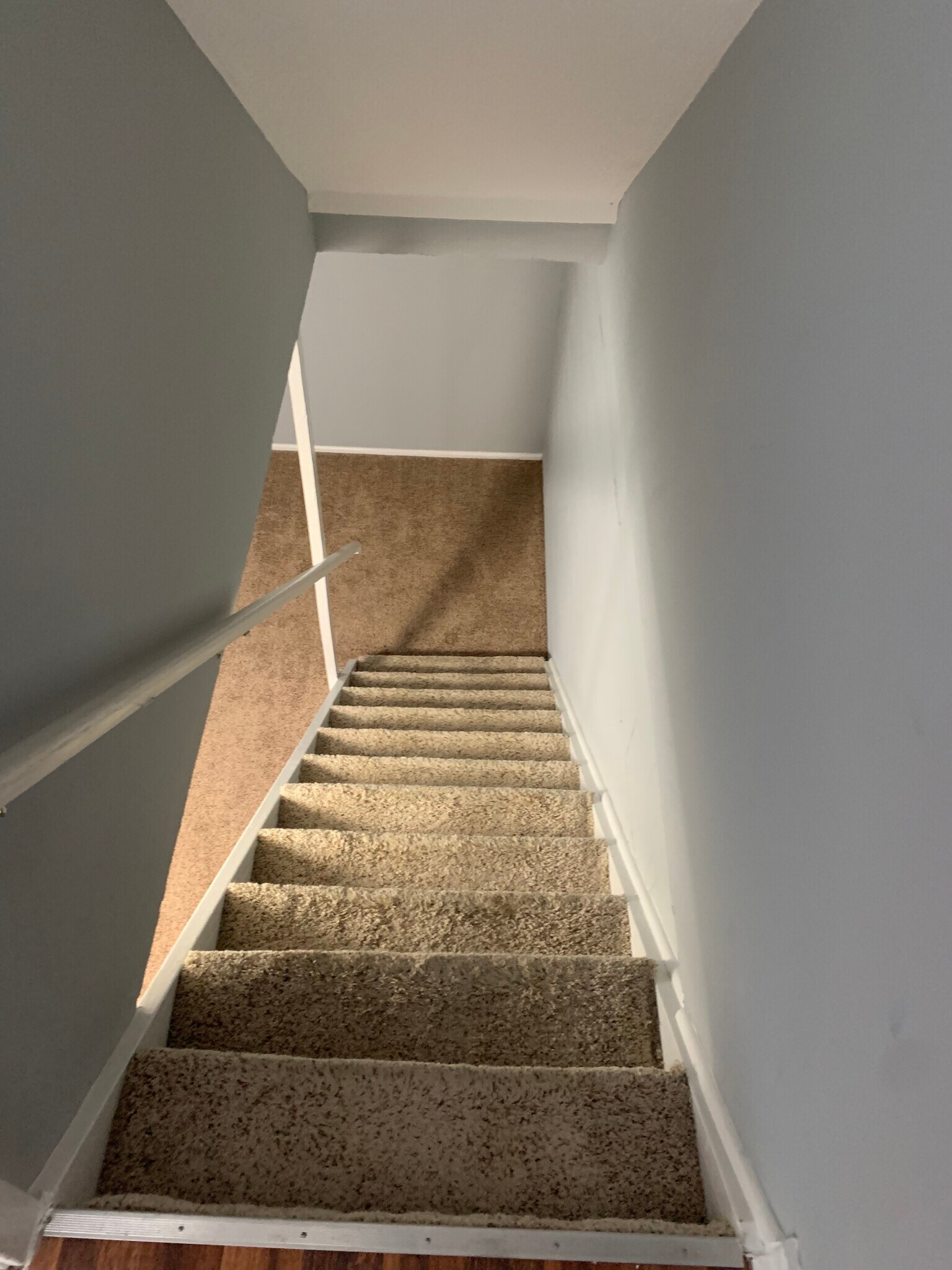 steps to partially finished basement - 440 Edinburgh Rd