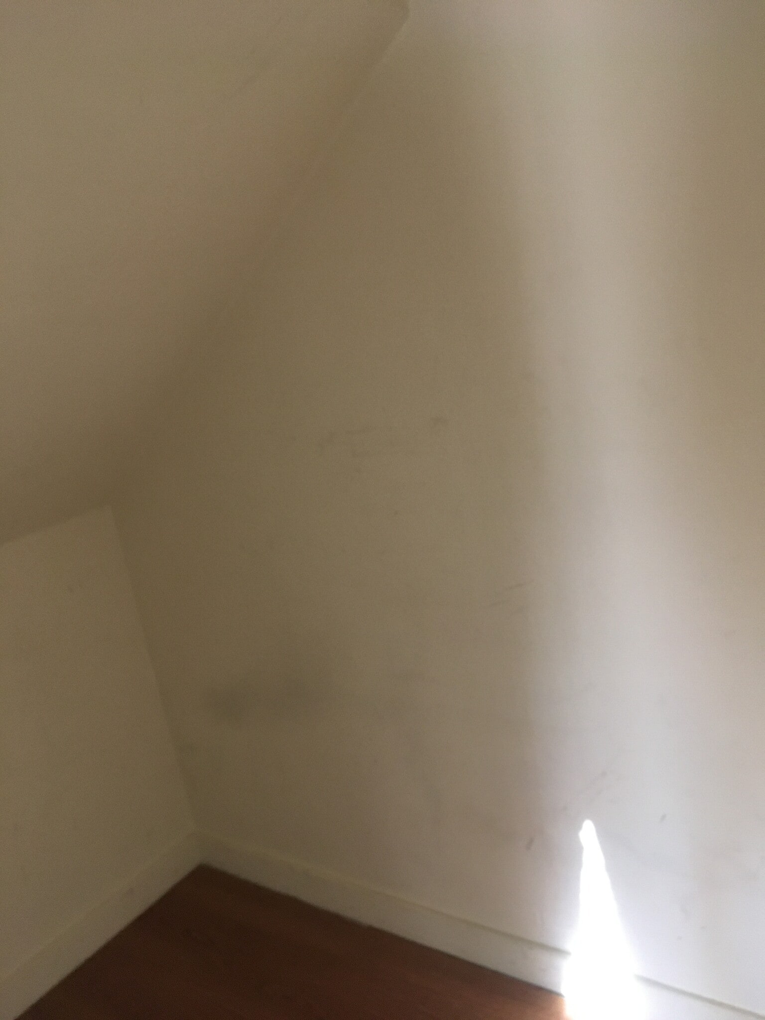 Building Photo - 500 Fortuna Ave