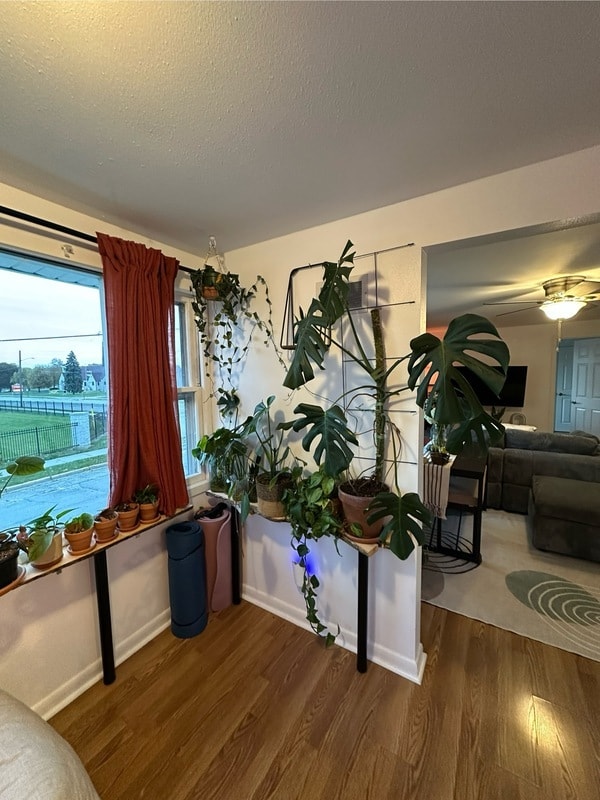 Building Photo - 4945A S Lake Dr