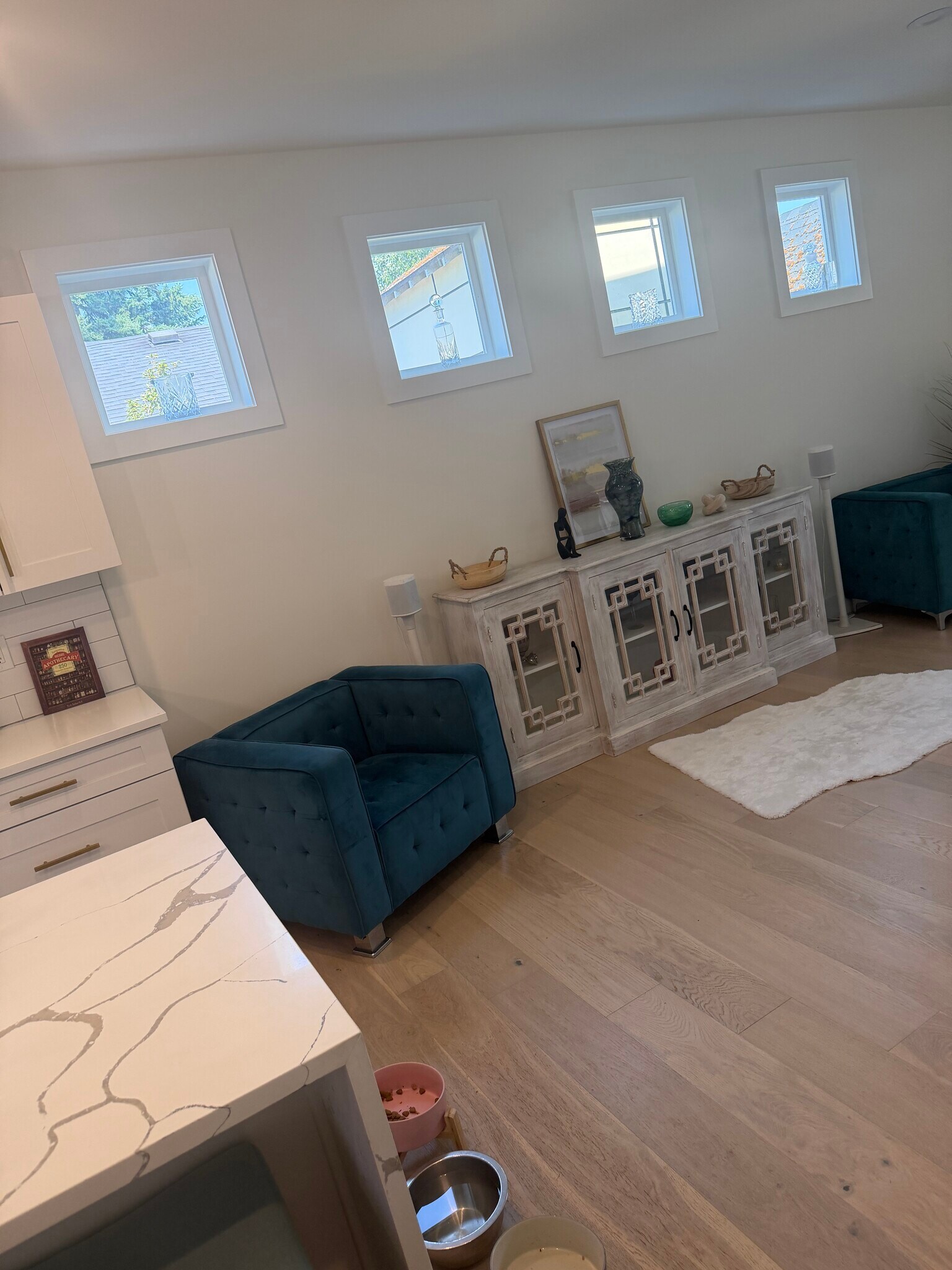Living room - 10448 3rd Ave SW